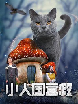 日韩激情片在线观看
