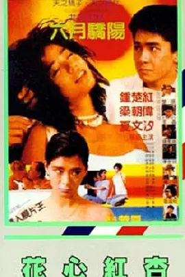 日韩av在线播放观看