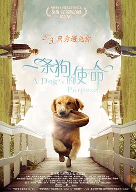 中文字幕一区视频