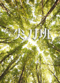 一 级片
