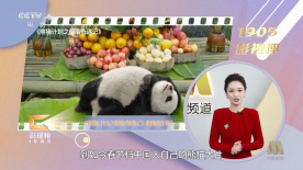 星空传媒在线免费观看